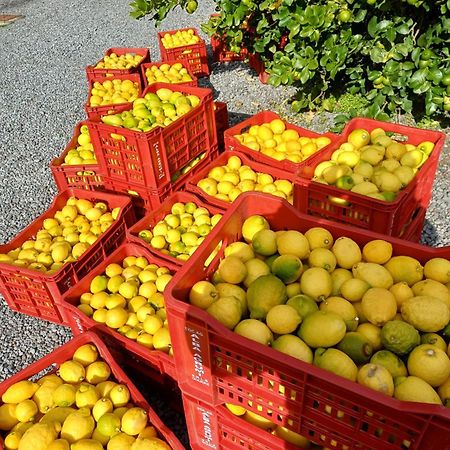 Profumo Di Zagara Acireale Villa Luaran gambar