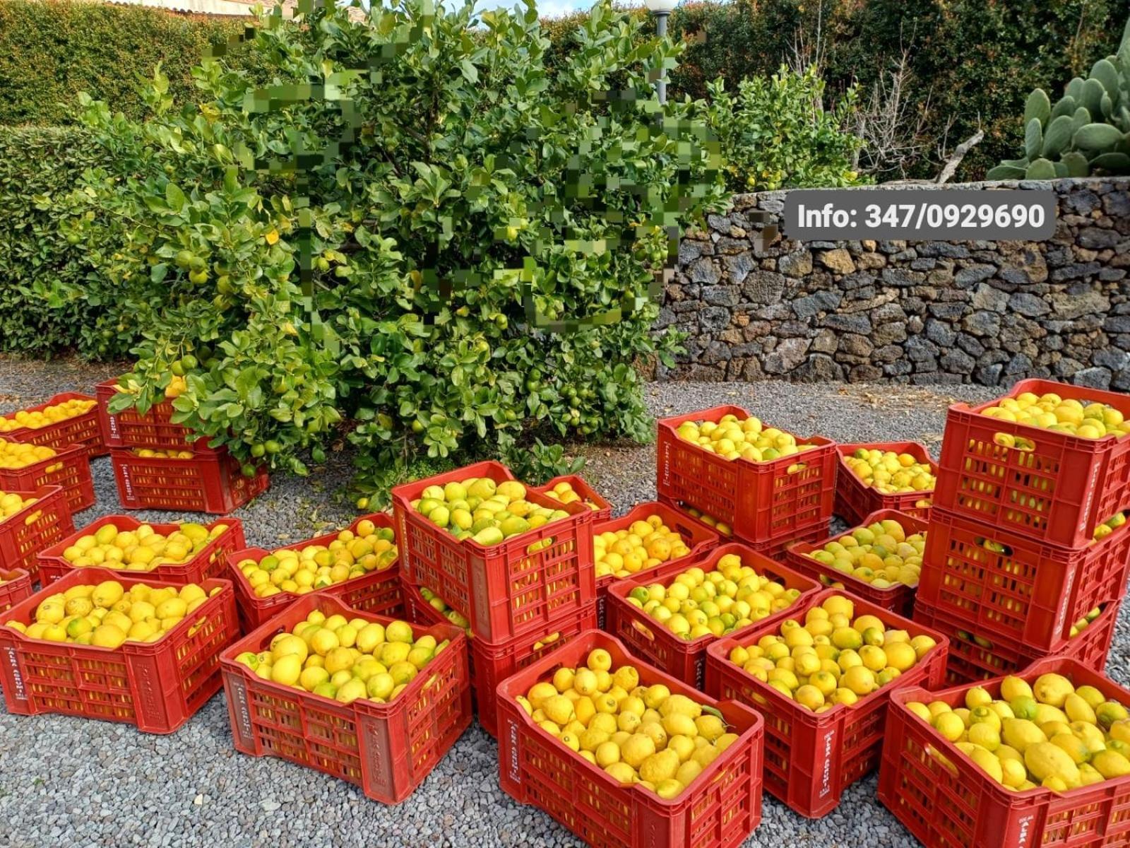 Profumo Di Zagara Acireale Villa Luaran gambar