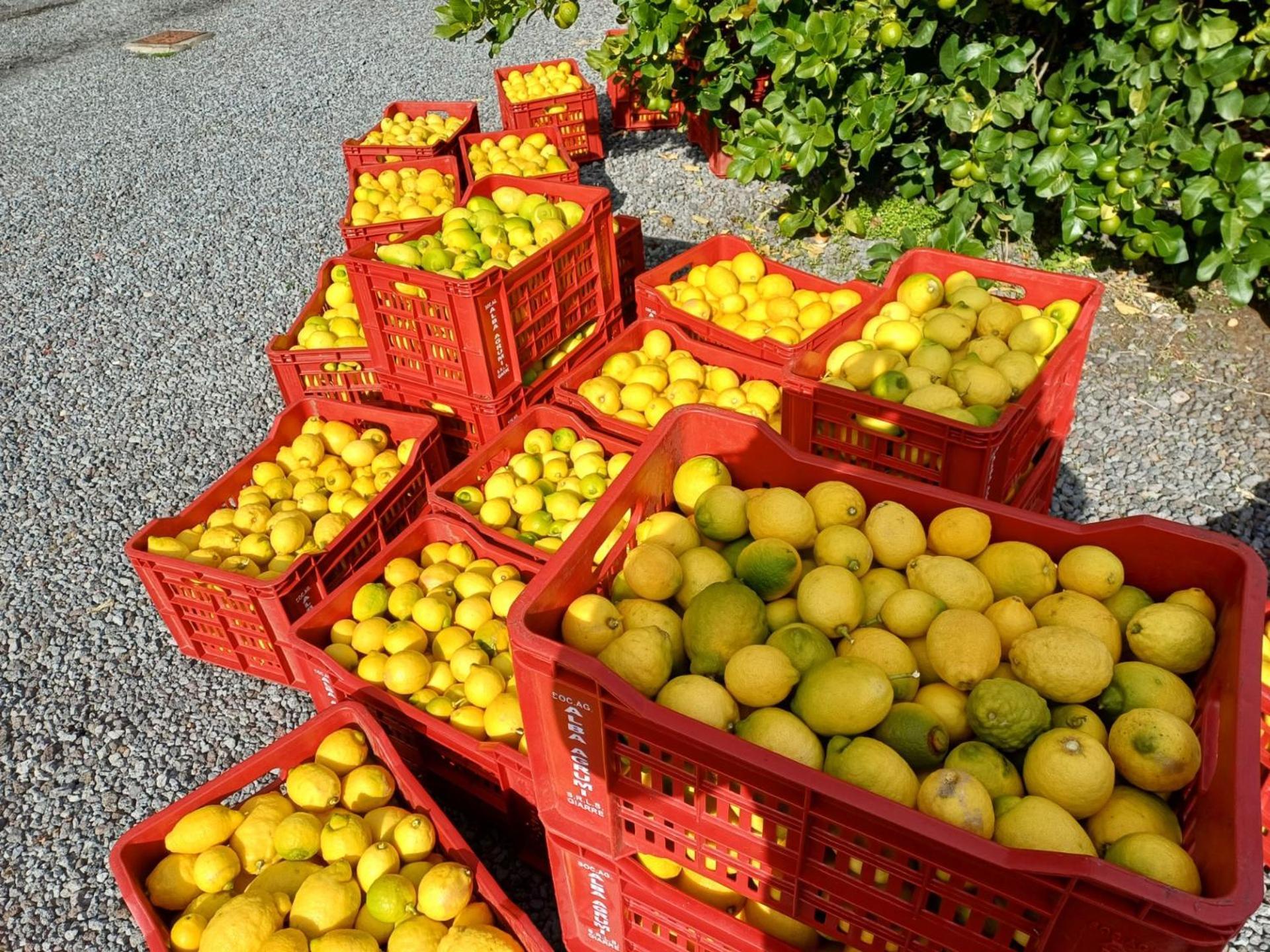 Profumo Di Zagara Acireale Villa Luaran gambar
